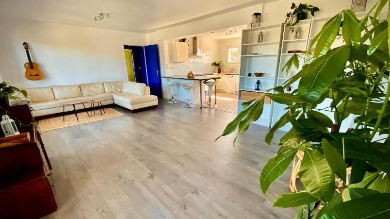 ホテル Sewa Surf House 10Min De Capbreton Hossegor Bénesse-Maremne エクステリア 写真