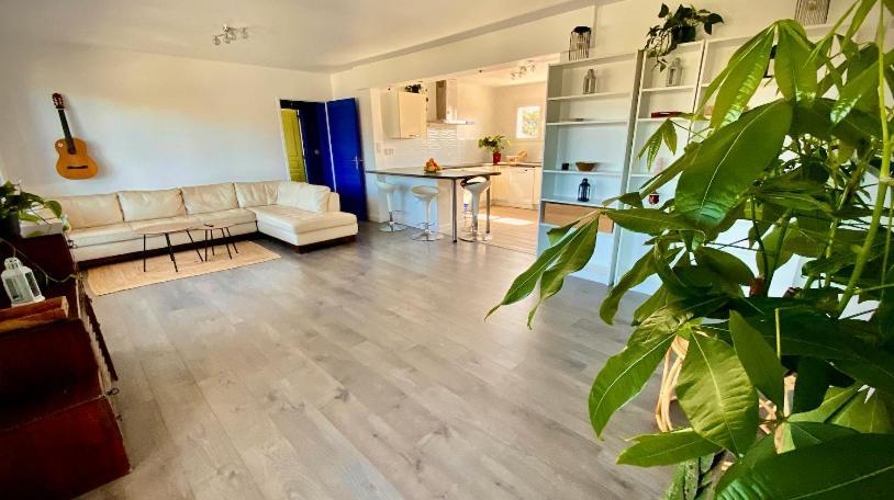 ホテル Sewa Surf House 10Min De Capbreton Hossegor Bénesse-Maremne エクステリア 写真