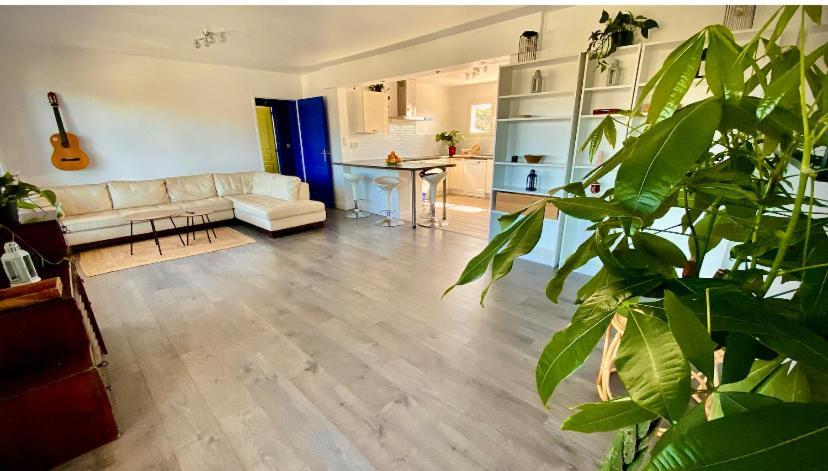 ホテル Sewa Surf House 10Min De Capbreton Hossegor Bénesse-Maremne エクステリア 写真